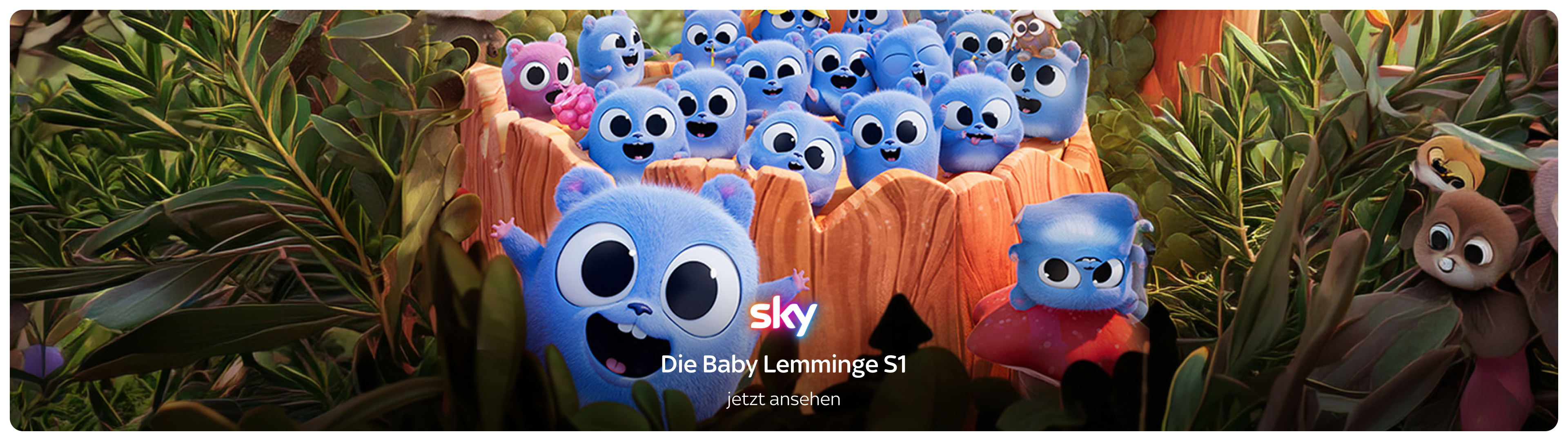 Sky Kids Paket