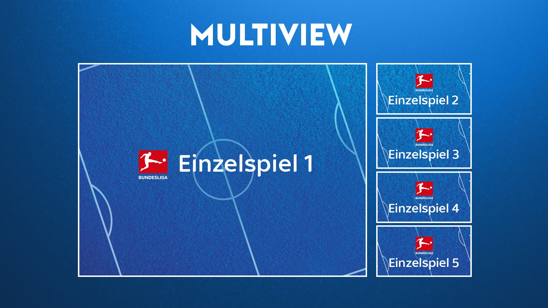 Grafik zeigt Multiview Ansicht bei Nutzung am Bildschirm.