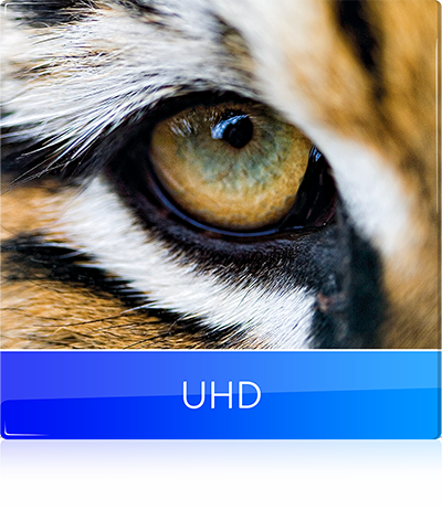 UHD