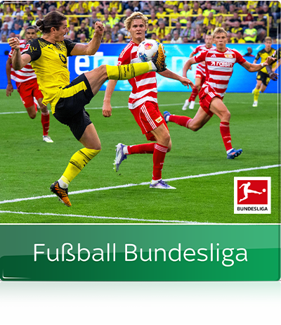 Fu&szlig;ball-Bundesliga