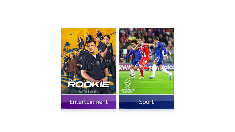 UEFA Champions League, ADMIRAL Bundesliga, ATP, uvm.