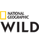 NatGeo Wild HD