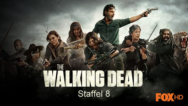 The Walking Dead Staffel 8 Netflix Start