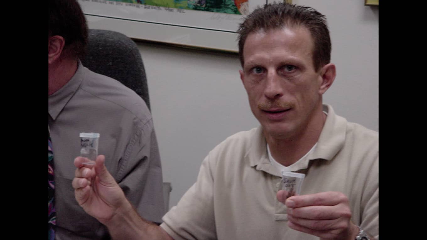 Daum macht im November 2000 eine (negative) Haarprobe in den USA, die in Deutschland aber nie anerkannt wird.